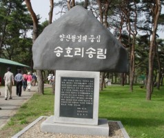 찾아가는 문학기행